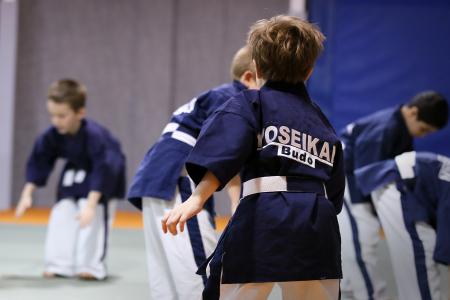 yoseikan budo