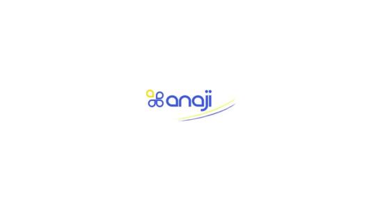 Logo ANAJI